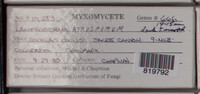 Image Associated With the Occurence